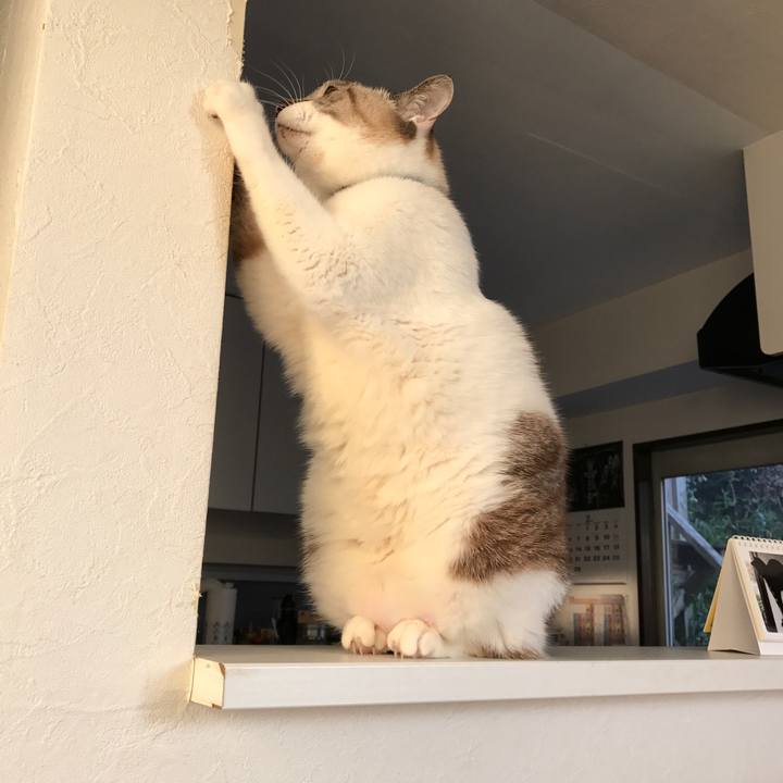 B80fec76 0898 4bec b126 af321ec39695