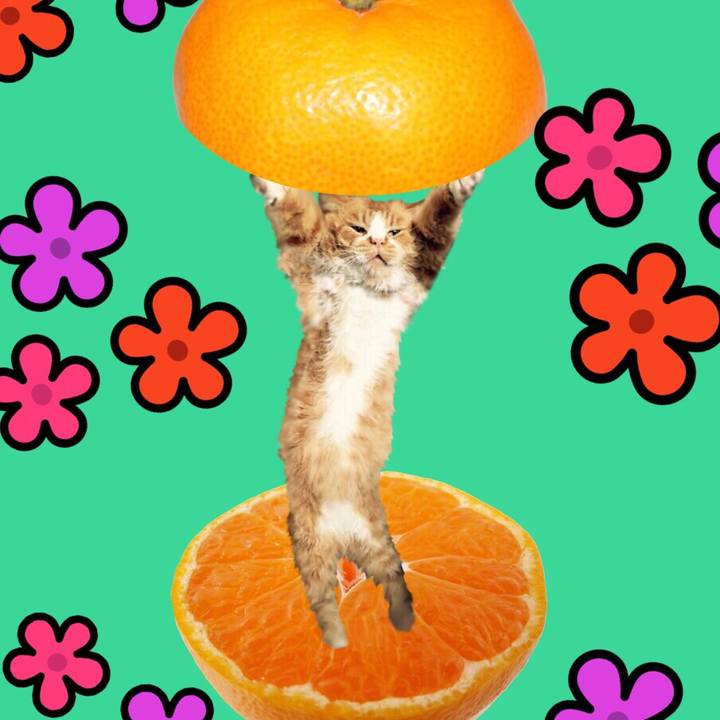 B8101c23 6a9f 402a b1ea fd4db9ad4599