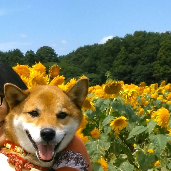 B810ad4f 32a9 4cb7 927e f86436df0280