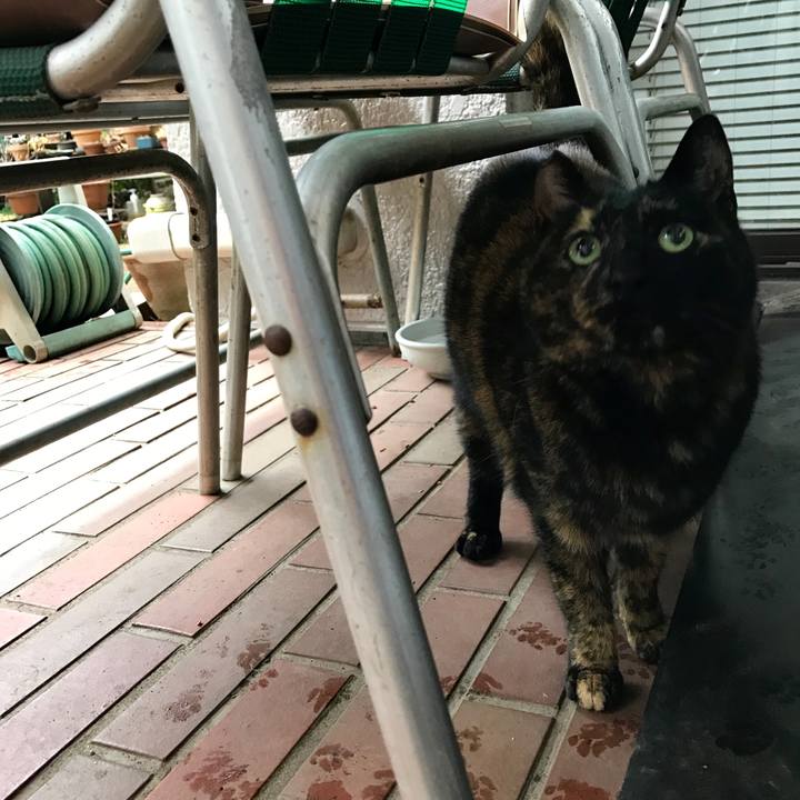 B81163b3 e683 4079 a72b 6dc00e2af904