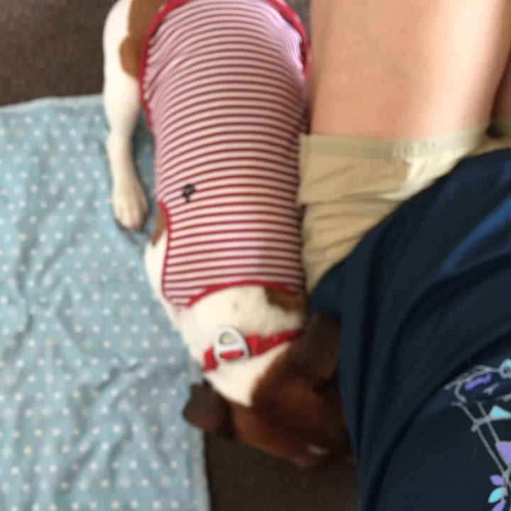 B811a9cd 1c70 47f3 9685 a7c855a3abcb