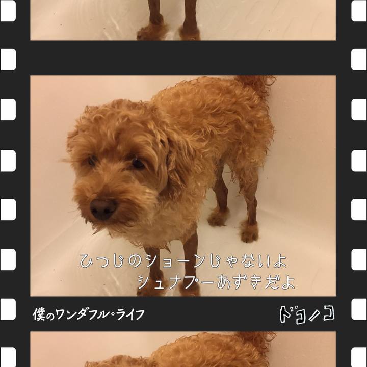 B811ac00 2d2a 4d27 bd6b 167ab68b2a42