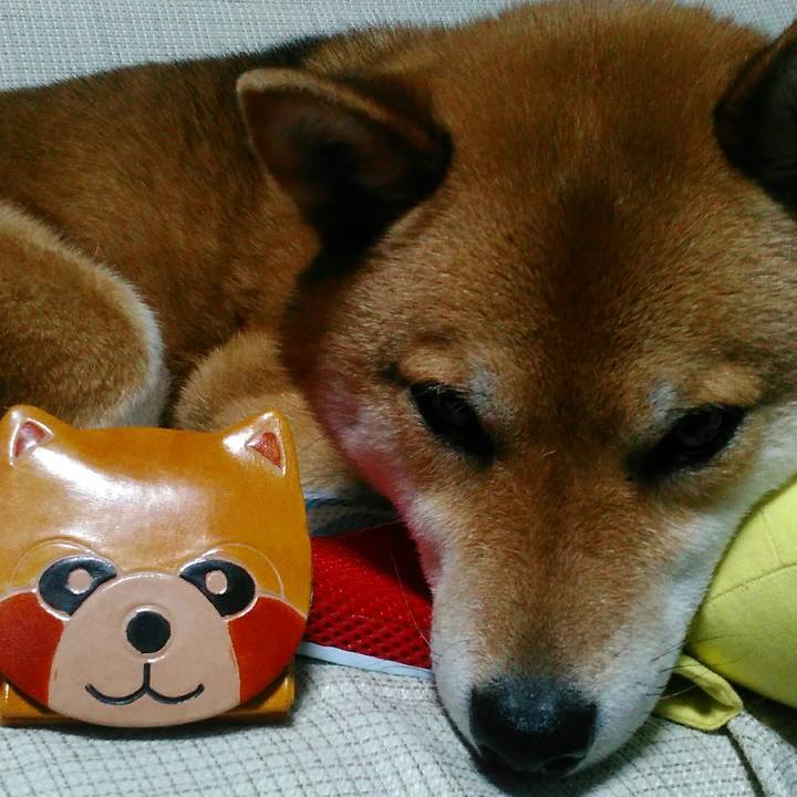 B811e63c d617 4705 b3e9 c6f66ae6980d