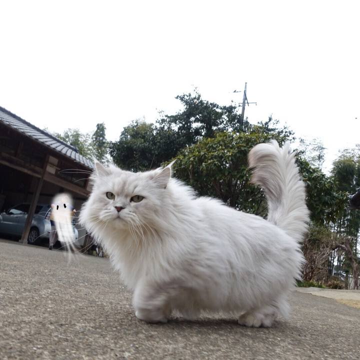 B8121777 9e0c 4bc5 9535 674264b43609