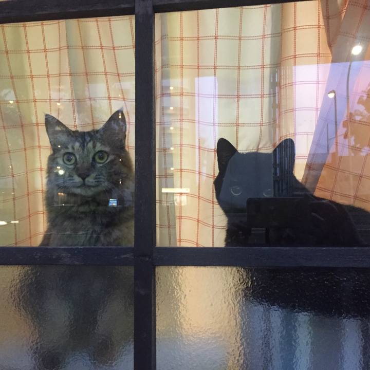 B812f926 adf0 4566 a7b2 eaad51a3193c