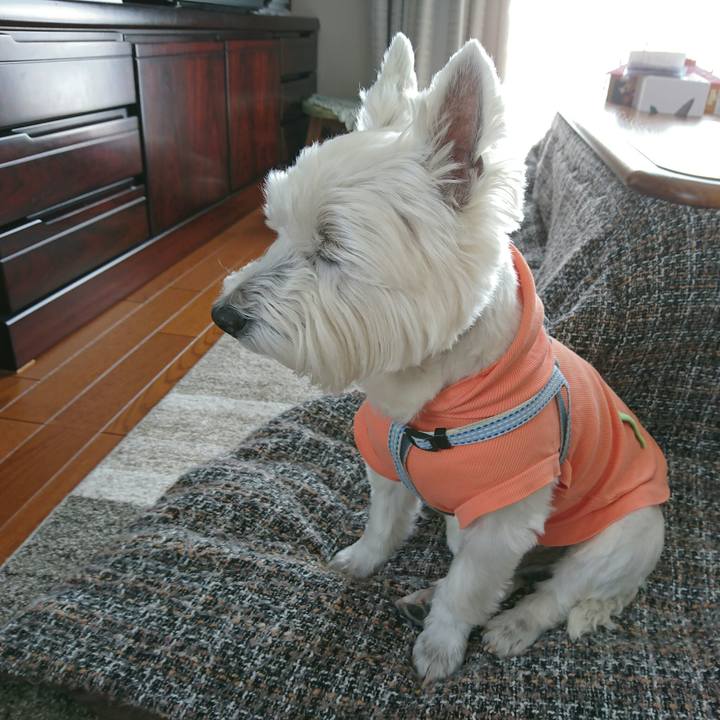 B81319ed b708 4123 b2bb 988865ba71d2