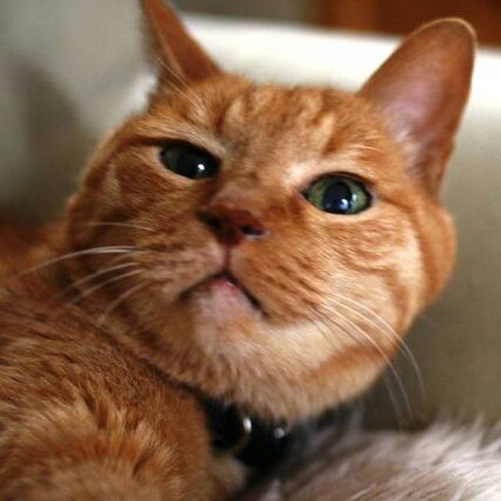 B8132c0e 5ef7 4837 a1fa 766faefa7a83