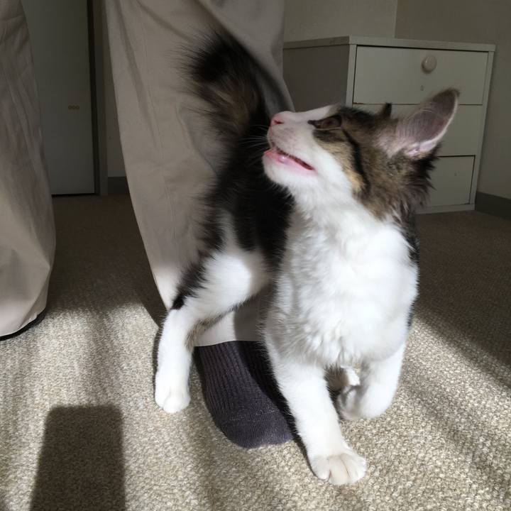 B8135996 a51d 4e7d 9051 b799ce8e71f6