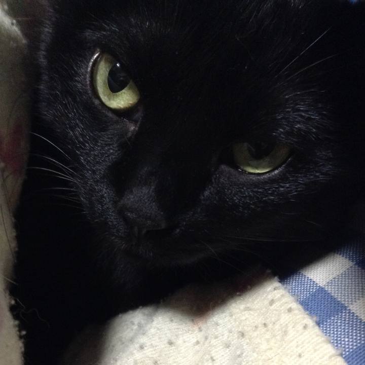 B8136e8a 86d3 4e44 879c f6737185eb0f