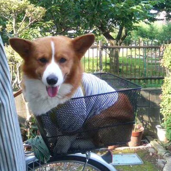 B814b481 ae0f 4ad2 8ac9 941fa77d5d87