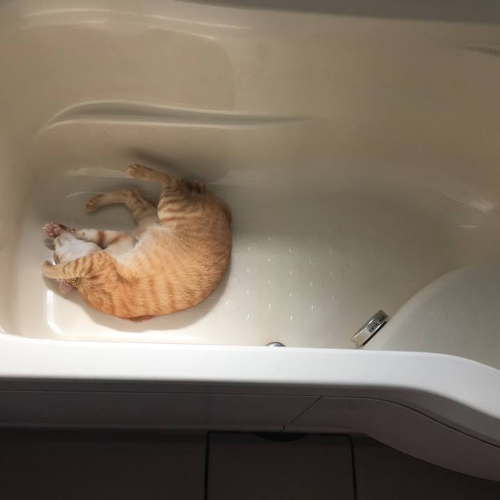 B814f6b3 6d40 424f 92e8 0a589d7eface