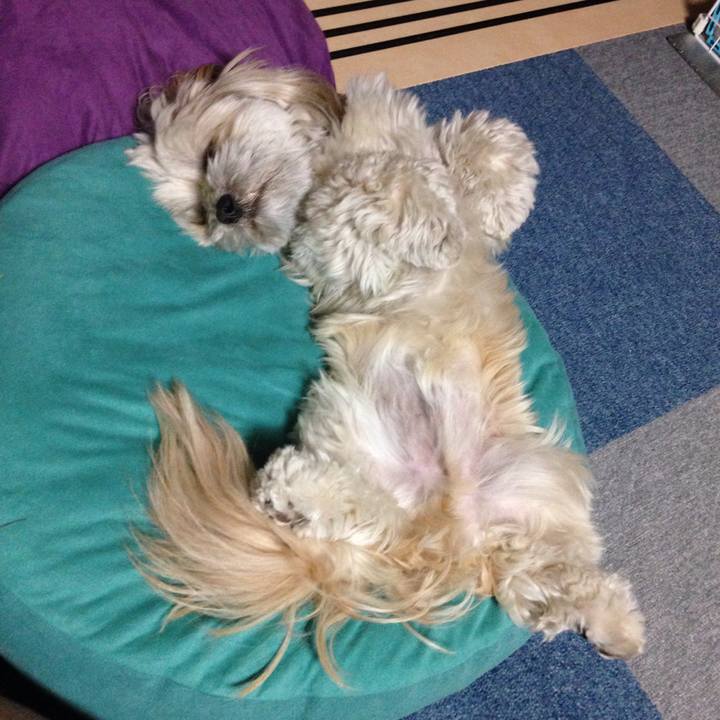 B8163123 3485 48cb b277 bdaf46db6c98