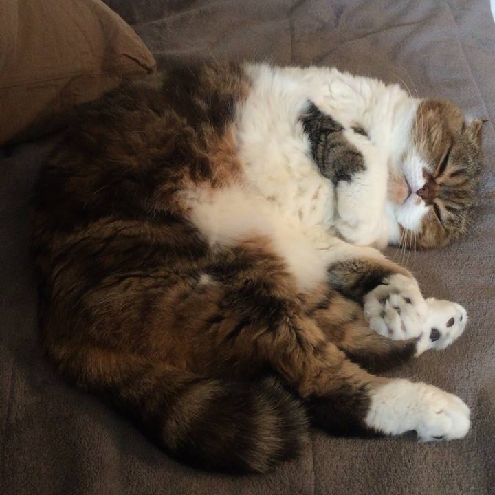 B816b58a 1aeb 4edf b833 eb60535f8345