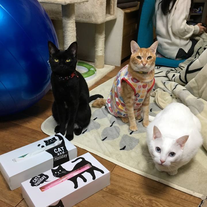 B816bdda 8f0d 4a83 9046 45d72626a700