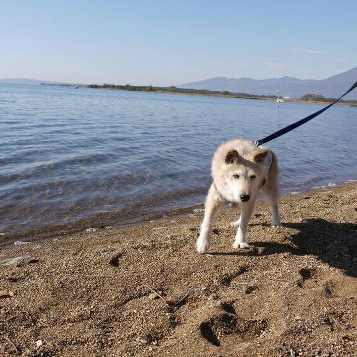 B816f8af 54e1 4707 bdb3 586353daea1b