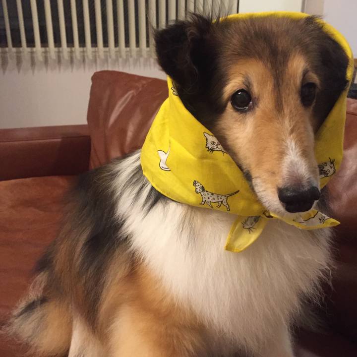 B8174bae 9f38 498f 9129 1eefa9c2c77d