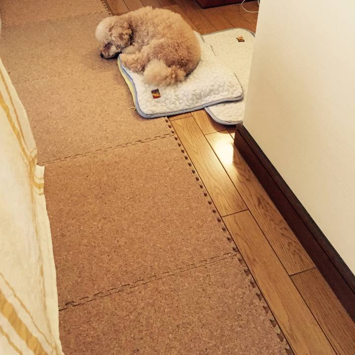 B817a4ac c249 42c0 9f36 a65e54092c6c