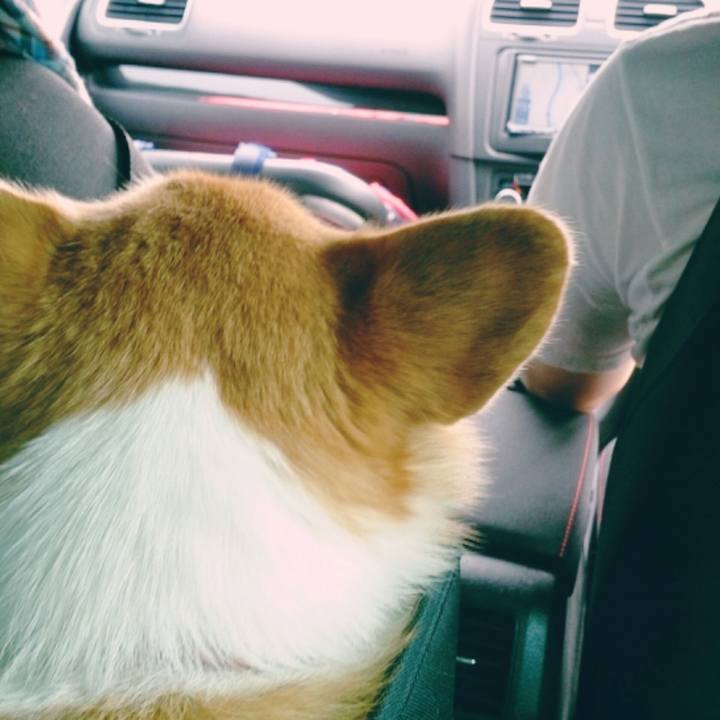 B817bd82 1457 45d2 9508 17f1fa810a37