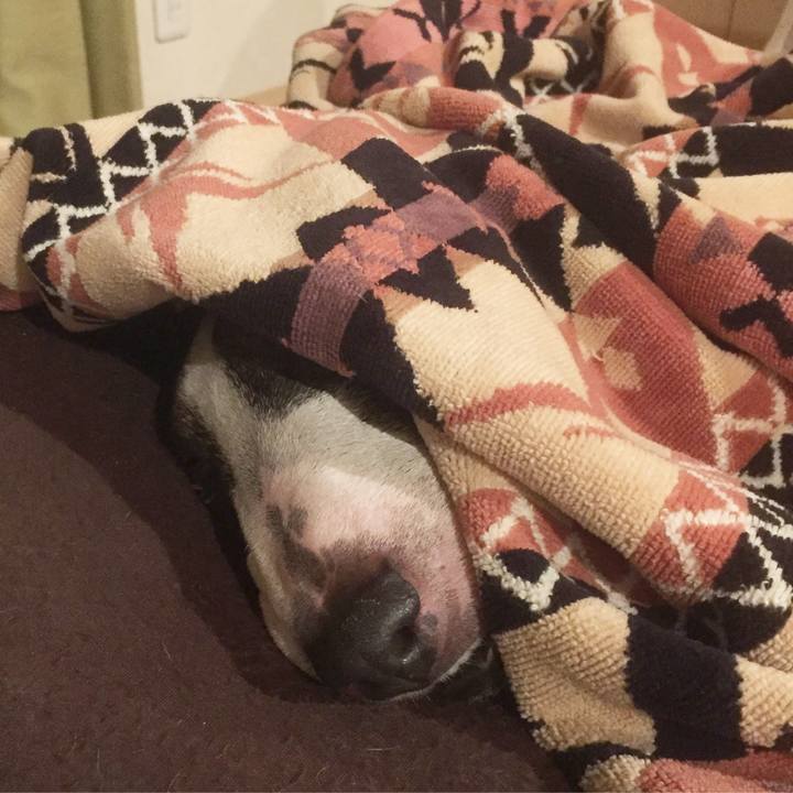 B81961d2 10f5 4007 8366 ab3387f29bc5