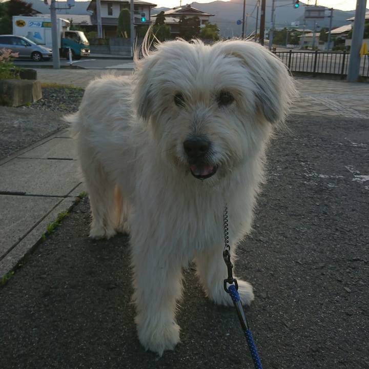 B81a5789 dc45 476f b4a2 1b8ada3244a9