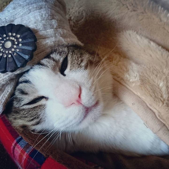 B81a6ffe 0bb4 4b95 9df0 0e15c063a461