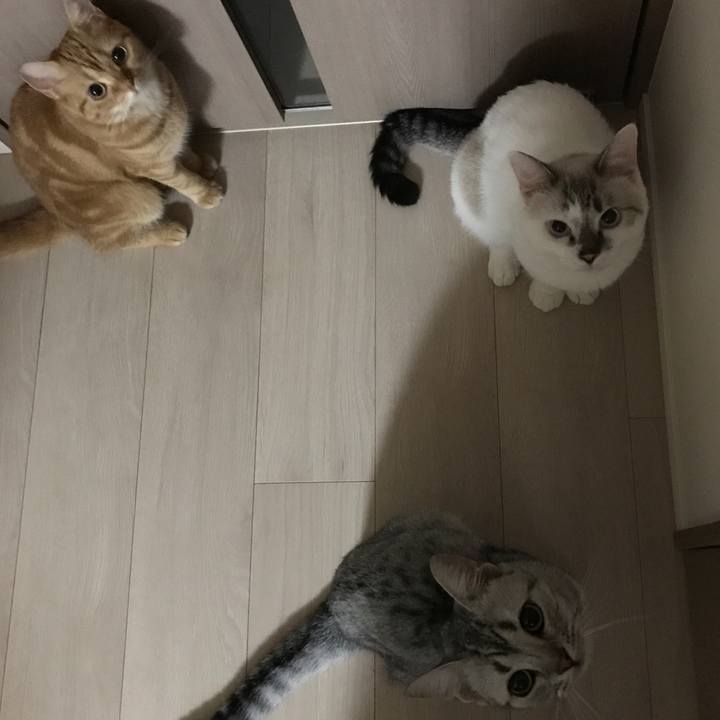 B81b3747 c602 4b72 b645 2441ecf08344