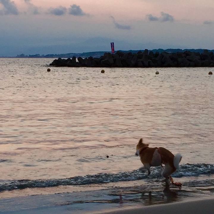 B81bd9f4 76f9 4356 9b3c 41caef4370bf