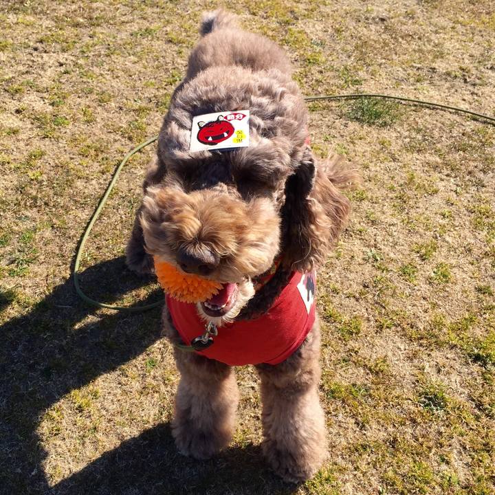 B81c7c7f 518d 4378 8b2a 89c03d3076c8