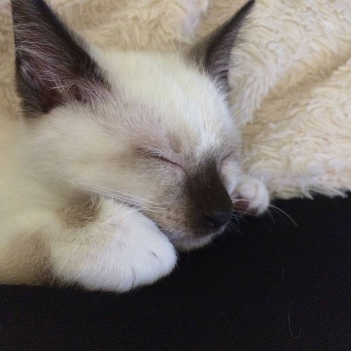 B81cfa45 2ae7 4294 b95c 4b1caf752718