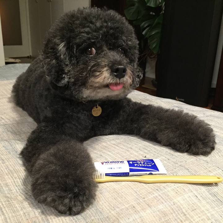 B81d04aa e2f4 416f 90c9 39d99cfd15a0