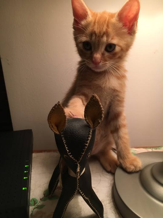 B81dbfcd 1e53 4e88 8de1 d16db3799670