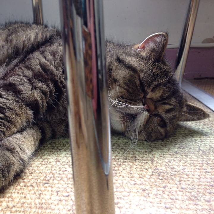 B81dd90c 33e6 4a71 9cb1 6af10eca41bd