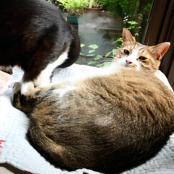 B81e0d65 6445 477d b086 0f45bfffc29c