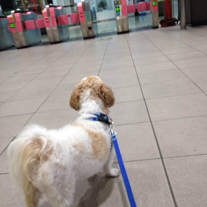 B81e1c96 dd27 473e a28c ea5c1b717102