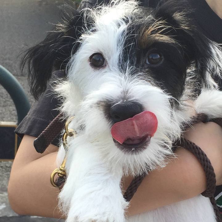 B81e4adf 7e64 4e38 ac0a b6eb6006608f