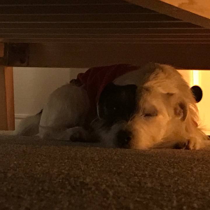 B81eca6e 9493 4418 a5b2 5f40e54bb1b6