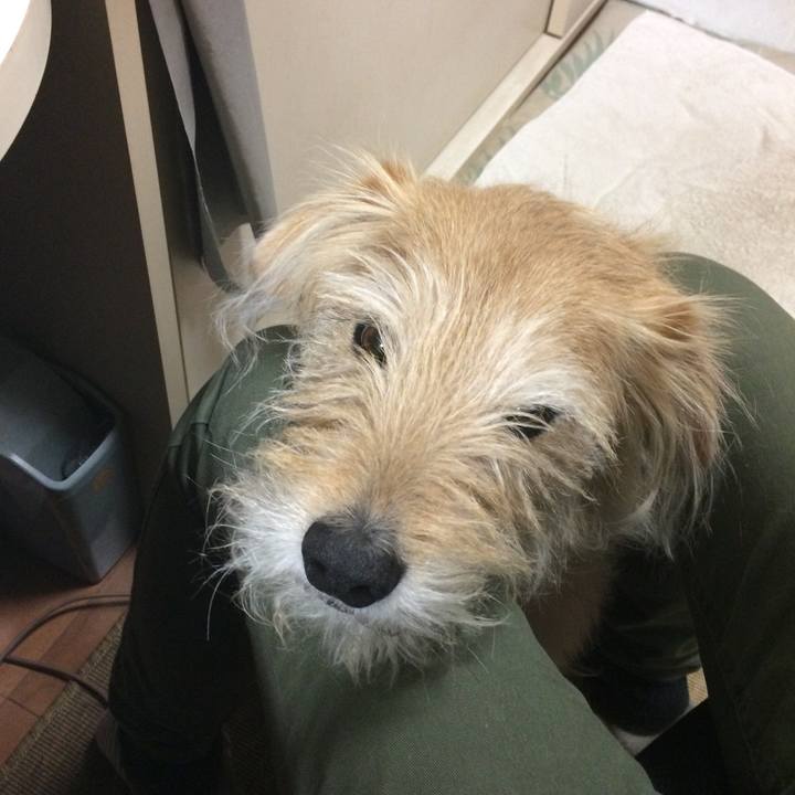 B81f09bf 1cc5 4f4d a767 b0c6e8eaffee