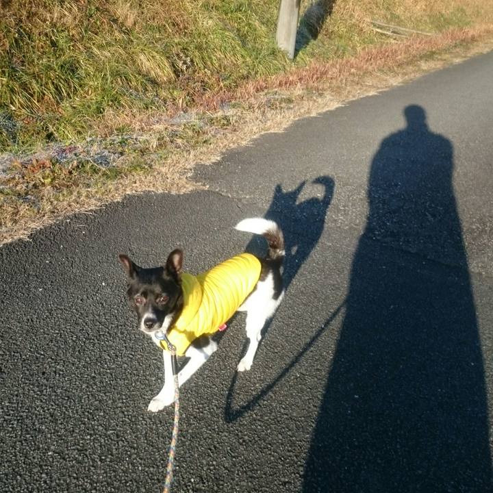 B820d5b0 b107 46a1 8e8d 7b1e0ba4ce0e