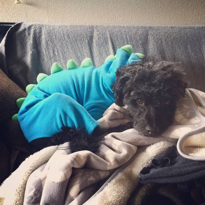 B8210592 007f 45c1 9014 01ed0cc44973