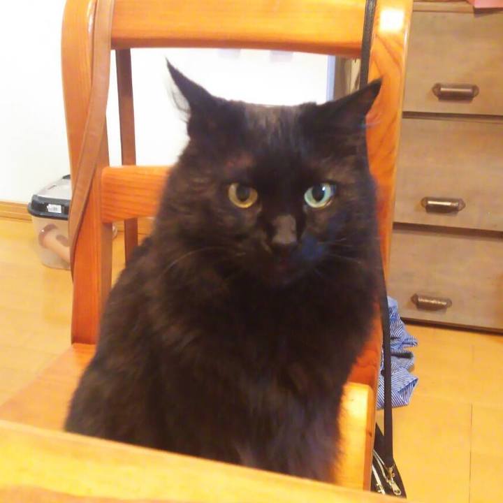 B8211f21 7693 40a4 b5ca e3ca331cd901