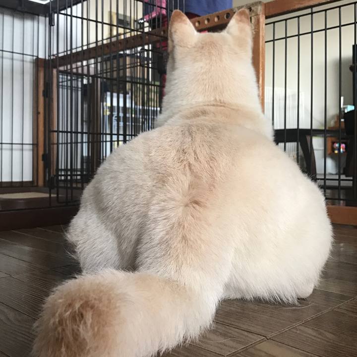 B8213d4a 3277 45fd be73 16e5344fc4ed