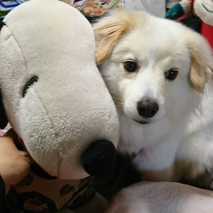 B8214723 88c2 47e6 ac2a 2dd3d69fd20d