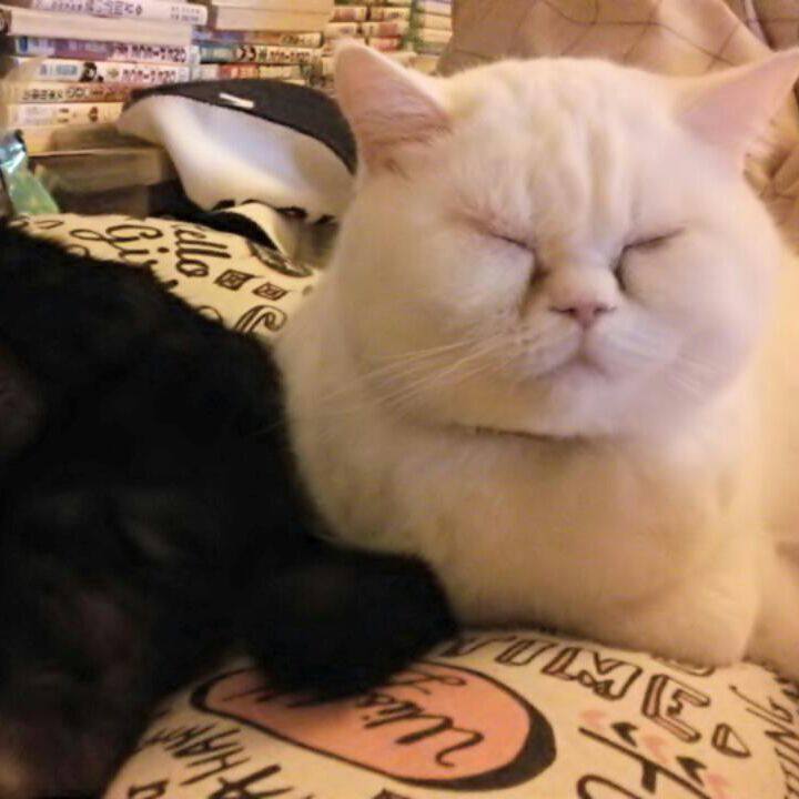 B8215b1e ac90 4081 986b 30ed91ea2992