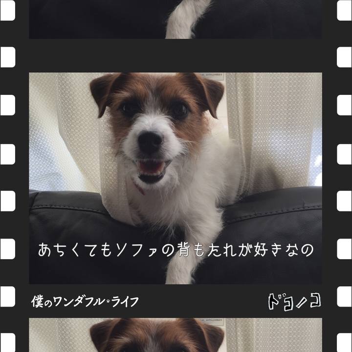 B821d385 55a6 46ee b779 796c7212d5bc