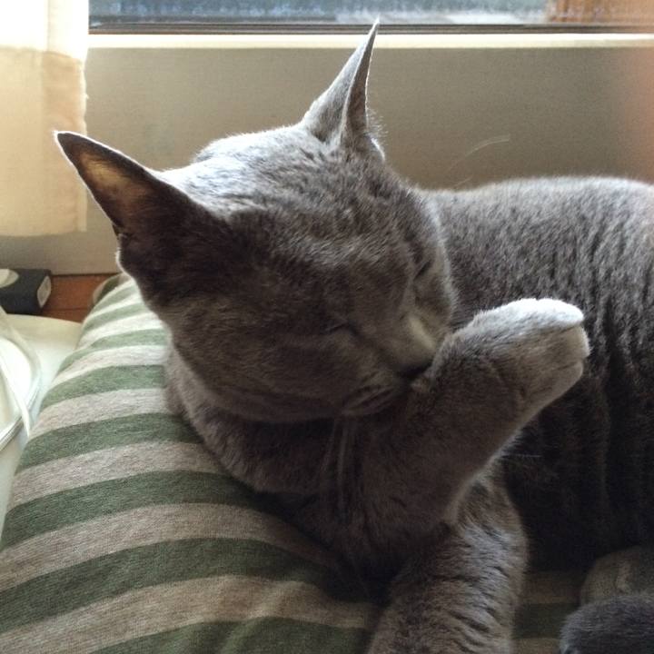 B821d927 6090 4a43 b376 503d13d3314b