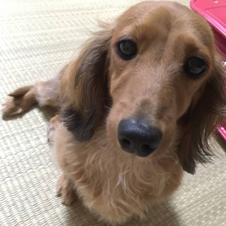 B821ea66 920b 4c23 ba12 1765c84a95f3