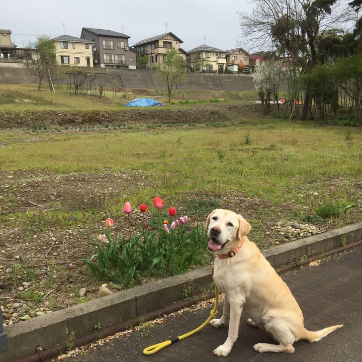 B8222559 a2d9 41ae a7ec 991f6ad2084f