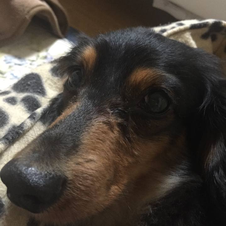 B8222a98 5366 4faf 9dd5 750b26abce62