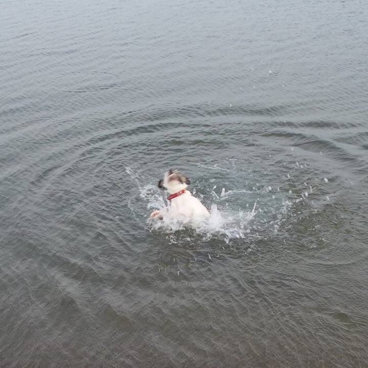 B822977b cd77 4f2a b33a 067dcd40f658