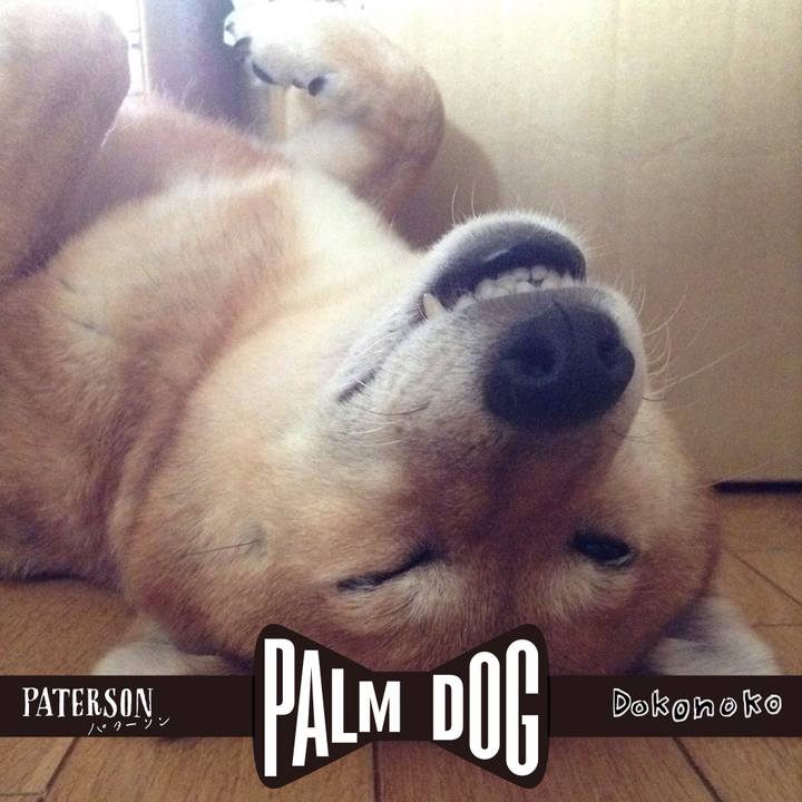 B822ff18 91ac 4ee3 8cf2 e4fa78e1147c